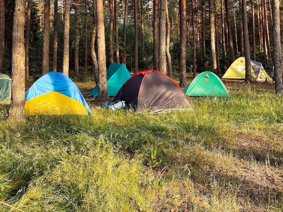Camping Series