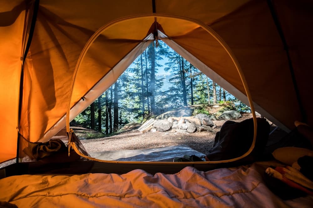 Shelter & Sleep