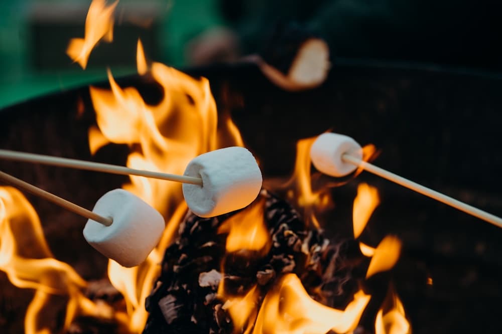 Camping & Glamping